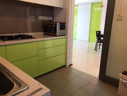 Blk 1F The Pinnacle@Duxton (Bukit Merah), HDB 5 Rooms #217033181